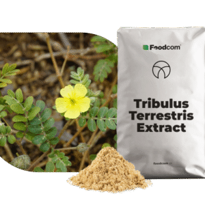 Extracto de Tribulus Terrestris