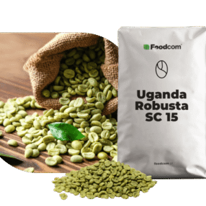 Uganda Robusta SC 15